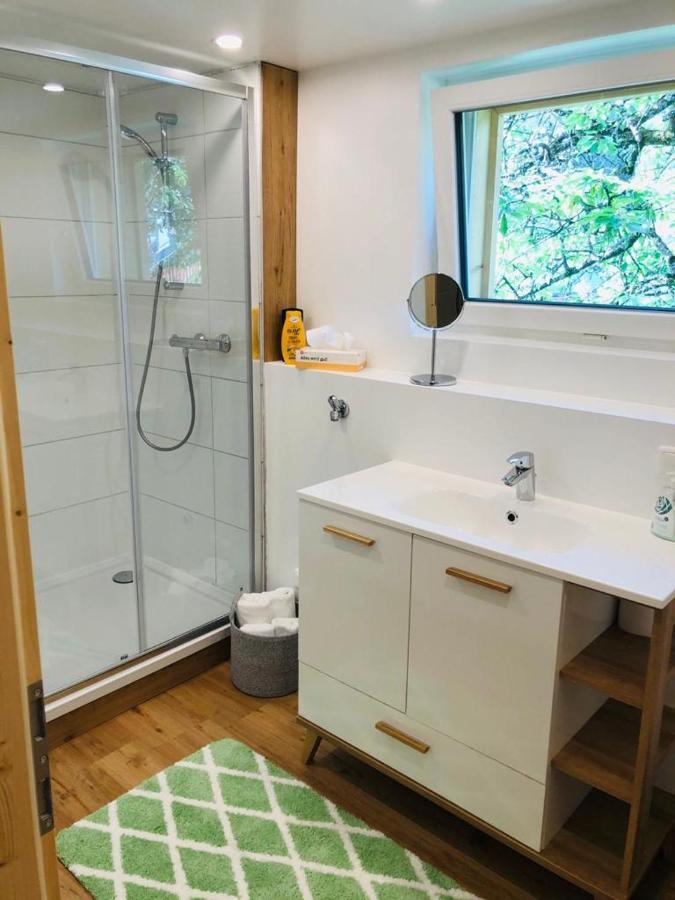 באד אאוסי Alpine Appartments Ausseerland מראה חיצוני תמונה