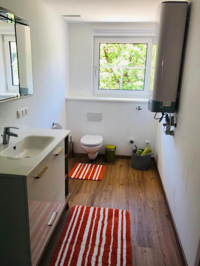 באד אאוסי Alpine Appartments Ausseerland מראה חיצוני תמונה